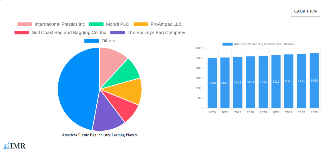 Americas Plastic Bag Industry Research Report - Market Size, Growth & Forecast
