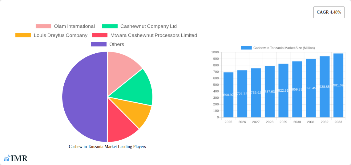 Cashew in Tanzania Market Research Report - Market Size, Growth & Forecast