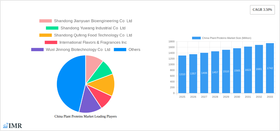 China Plant Proteins Market Research Report - Market Size, Growth & Forecast