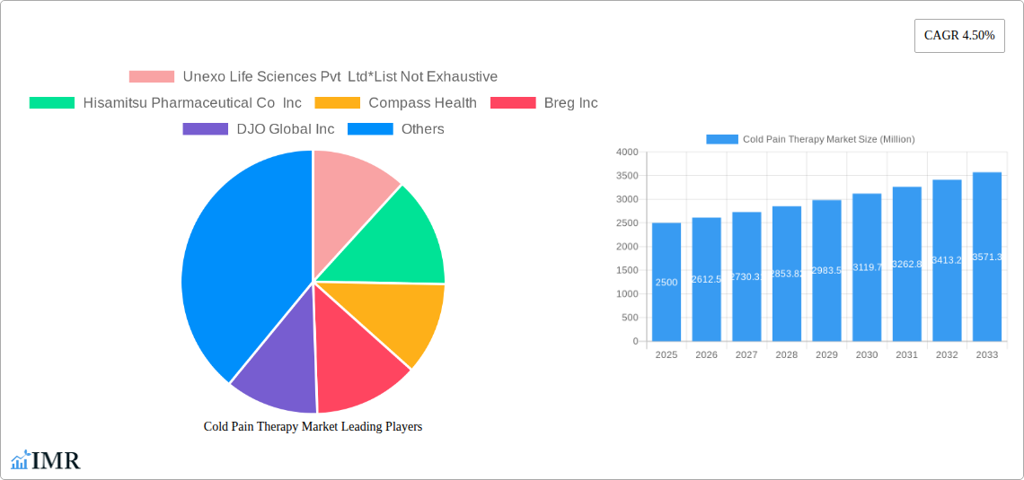 Cold Pain Therapy Market Research Report - Market Size, Growth & Forecast