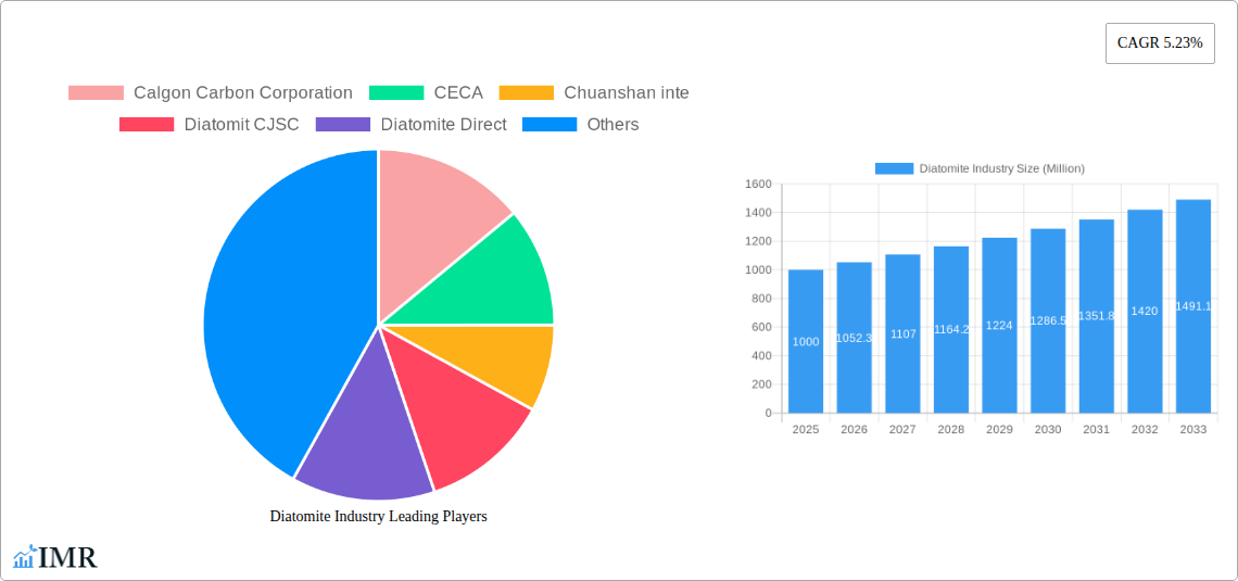 Diatomite Industry Research Report - Market Size, Growth & Forecast