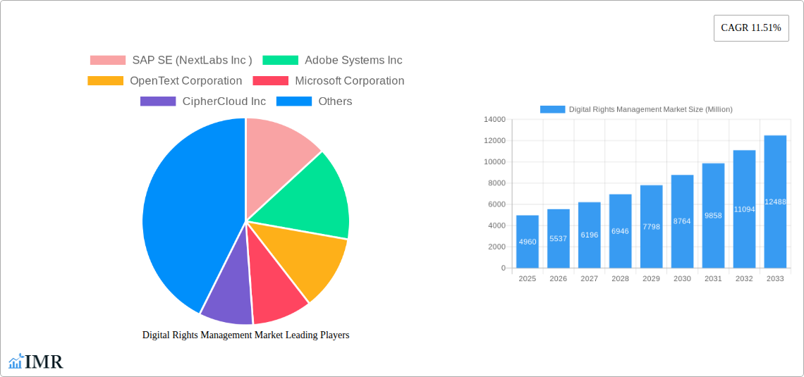 Digital Rights Management Market Research Report - Market Size, Growth & Forecast