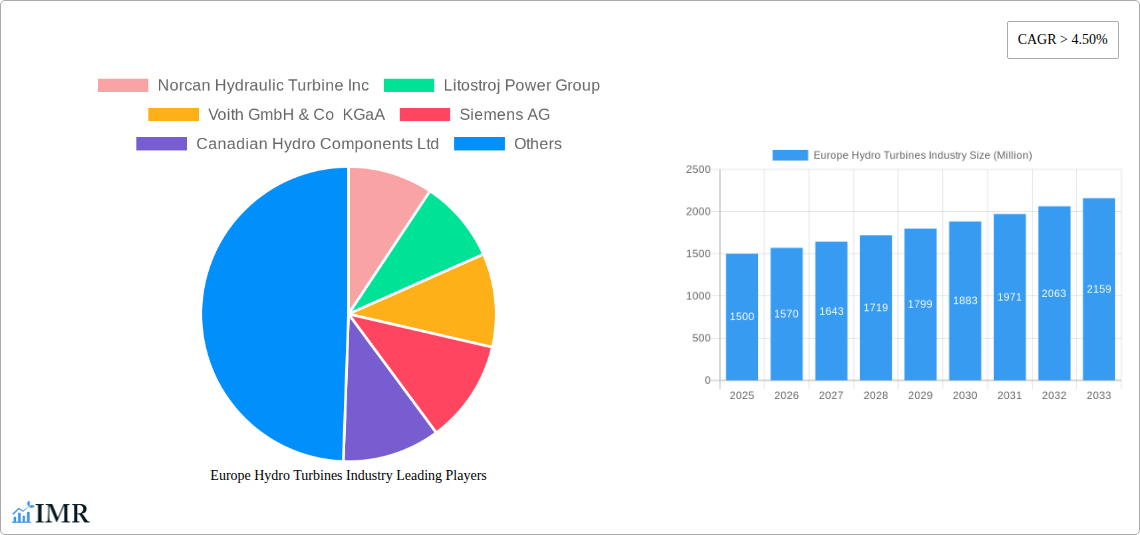 Europe Hydro Turbines Industry Research Report - Market Size, Growth & Forecast