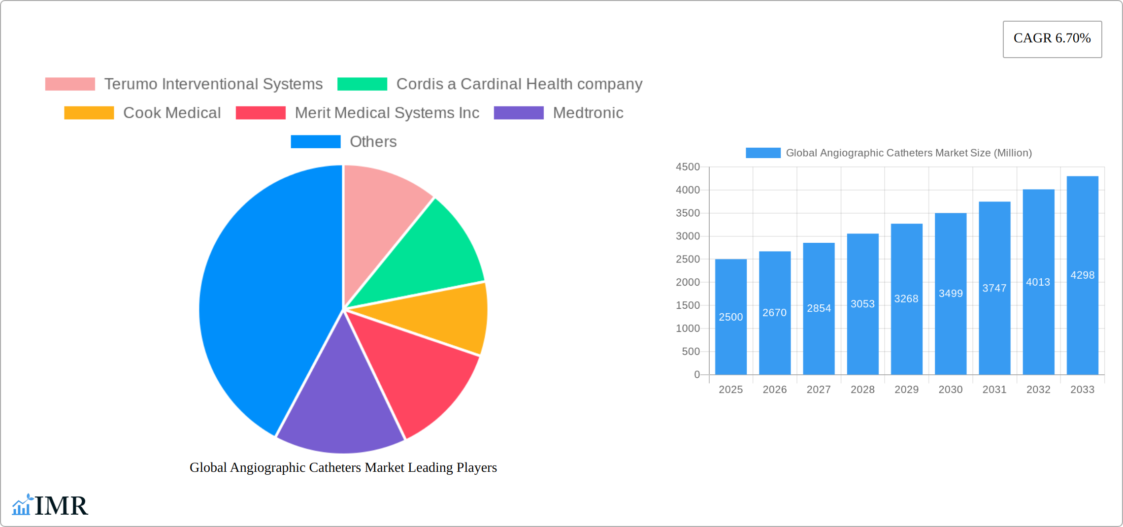 Global Angiographic Catheters Market Research Report - Market Size, Growth & Forecast