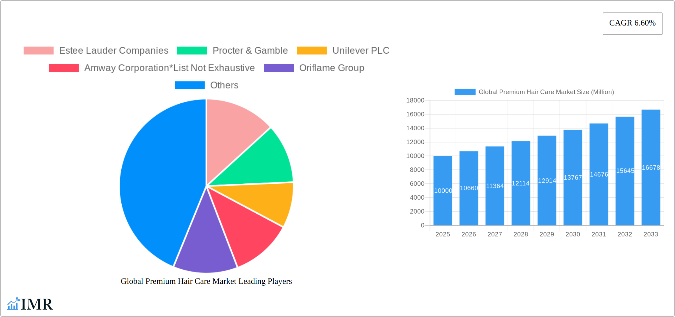 Global Premium Hair Care Market Research Report - Market Size, Growth & Forecast