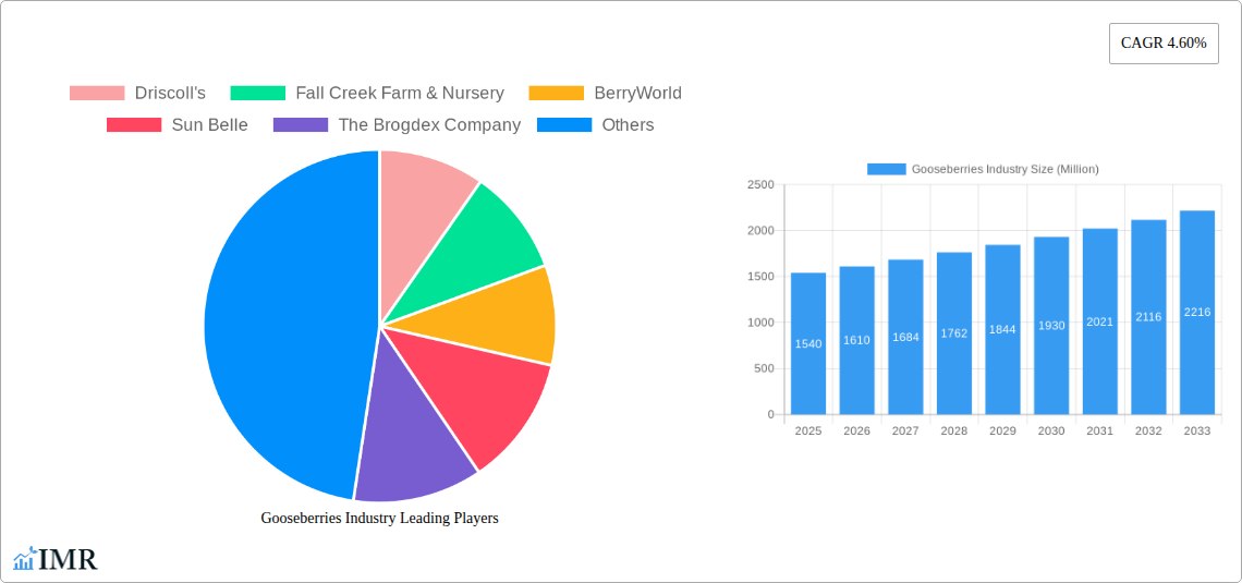 Gooseberries Industry Research Report - Market Size, Growth & Forecast