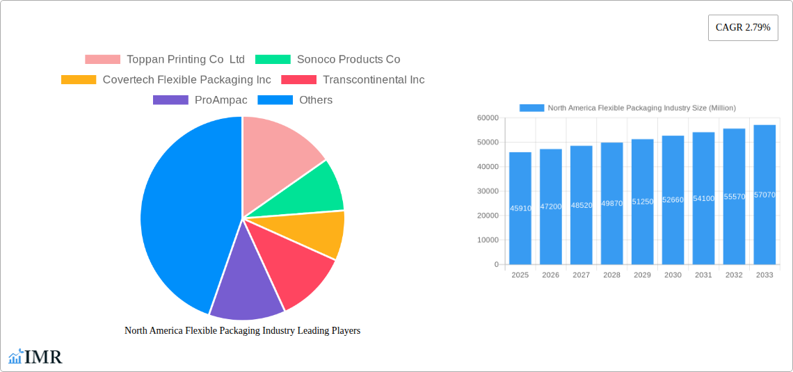 North America Flexible Packaging Industry Research Report - Market Size, Growth & Forecast