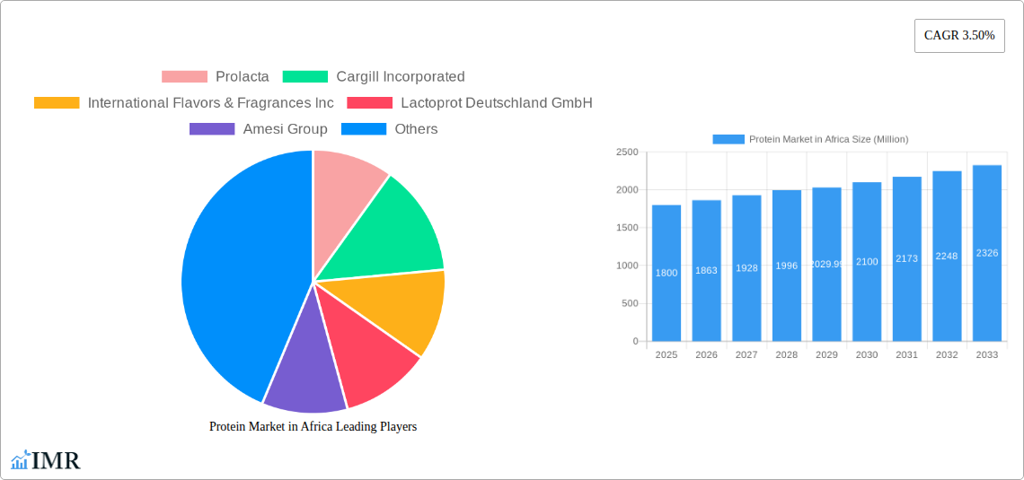 Protein Market in Africa Research Report - Market Size, Growth & Forecast