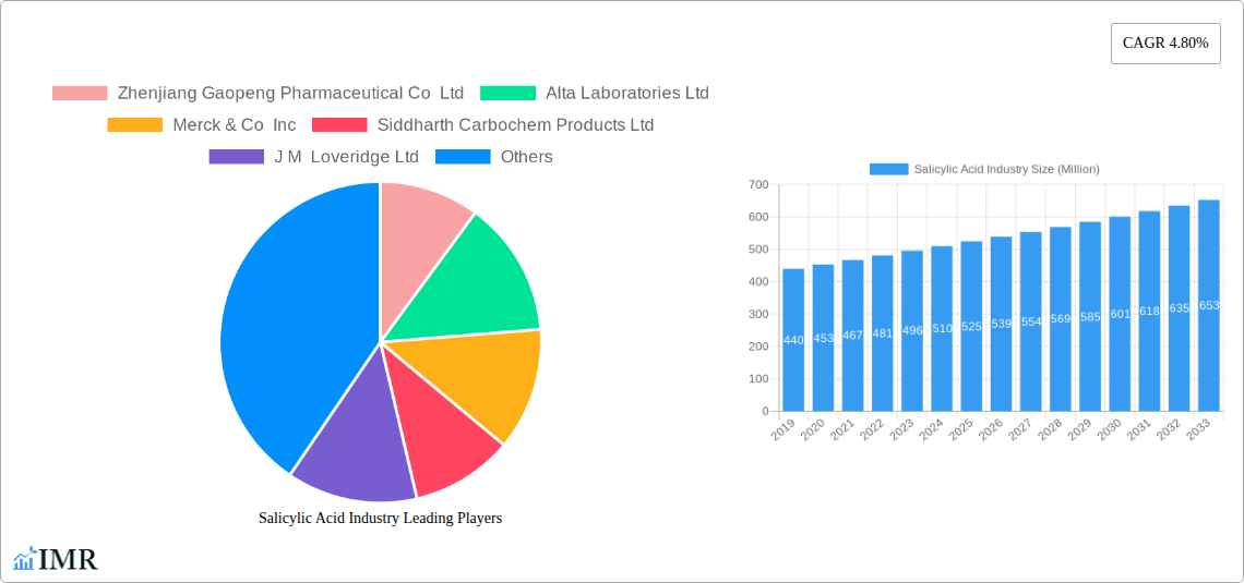 Salicylic Acid Industry Research Report - Market Size, Growth & Forecast
