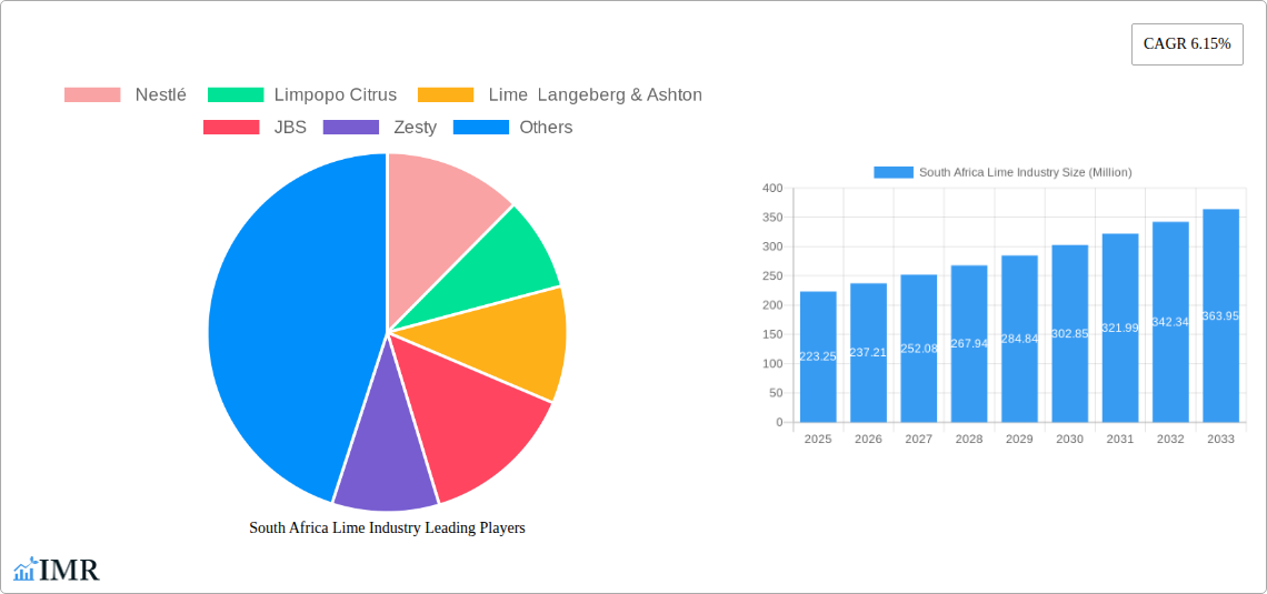 South Africa Lime Industry Research Report - Market Size, Growth & Forecast