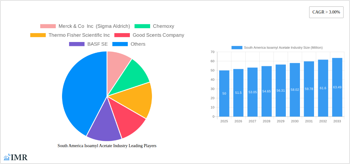 South America Isoamyl Acetate Industry Research Report - Market Size, Growth & Forecast