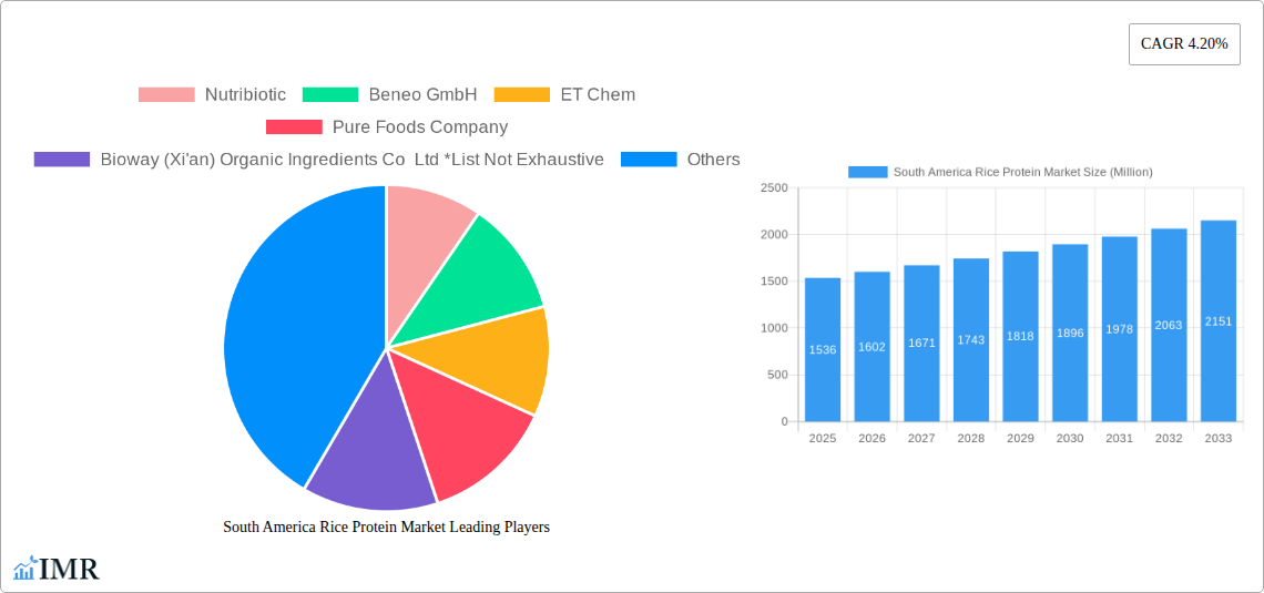 South America Rice Protein Market Research Report - Market Size, Growth & Forecast