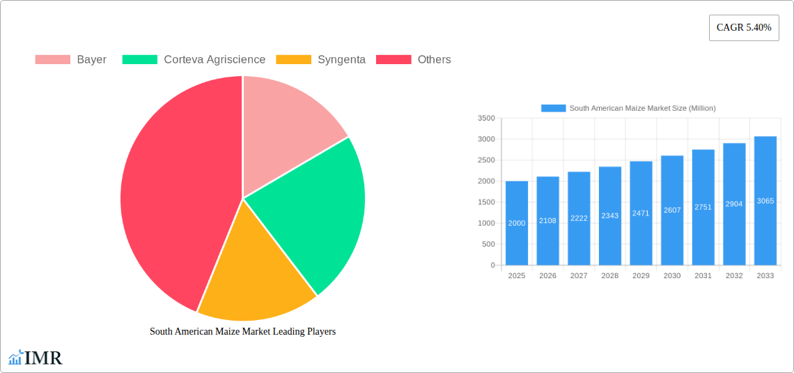 South American Maize Market Research Report - Market Size, Growth & Forecast