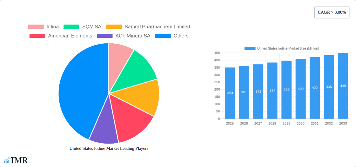 United States Iodine Market Research Report - Market Size, Growth & Forecast