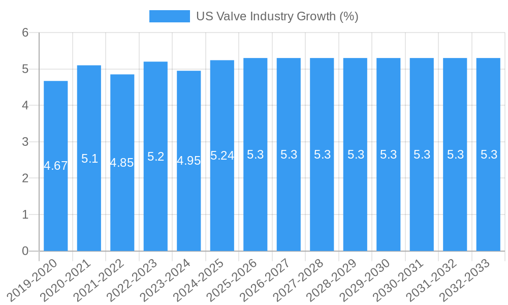 US Valve Industry Growth