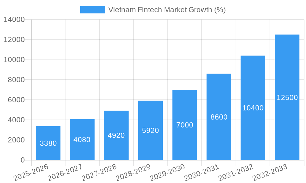 Vietnam Fintech Market Growth