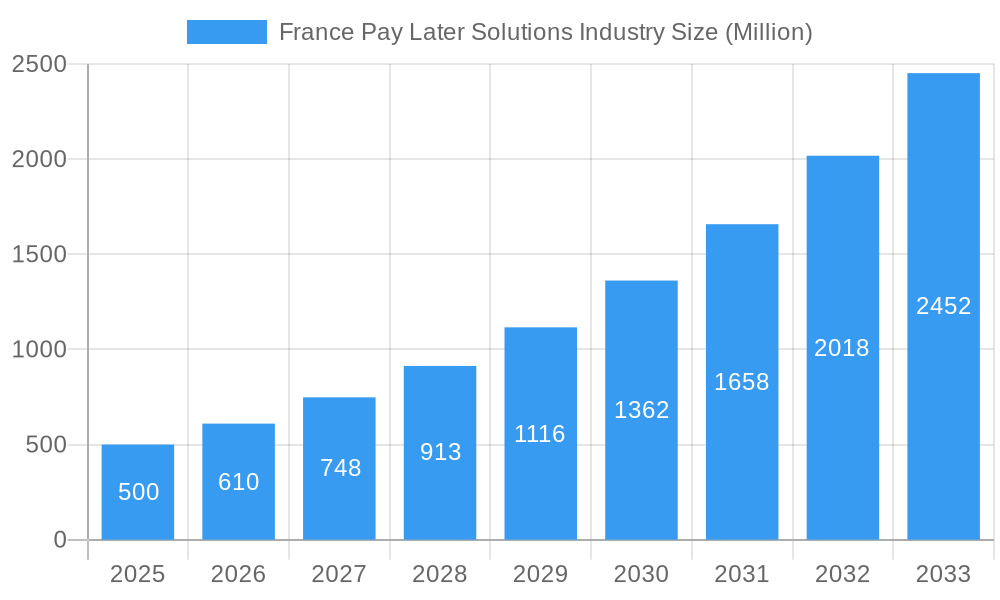 France Pay Later Solutions Industry Market Size and Forecast (2024-2030)