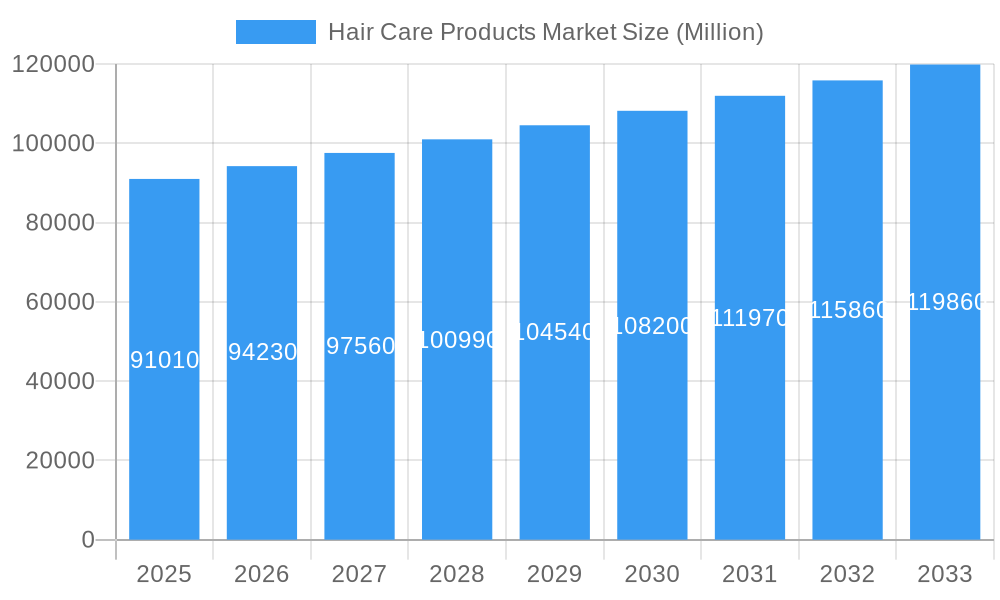 Hair Care Products Market Market Size and Forecast (2024-2030)