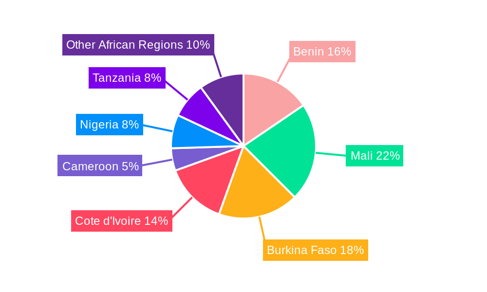 Africa Cotton Industry Regional Share