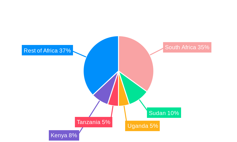Africa Thermal Energy Storage Industry Regional Share