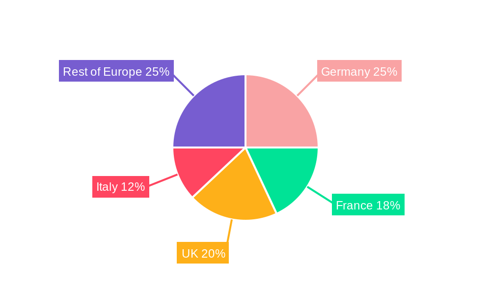 Airport Ground Handling System Market in Europe Regional Share