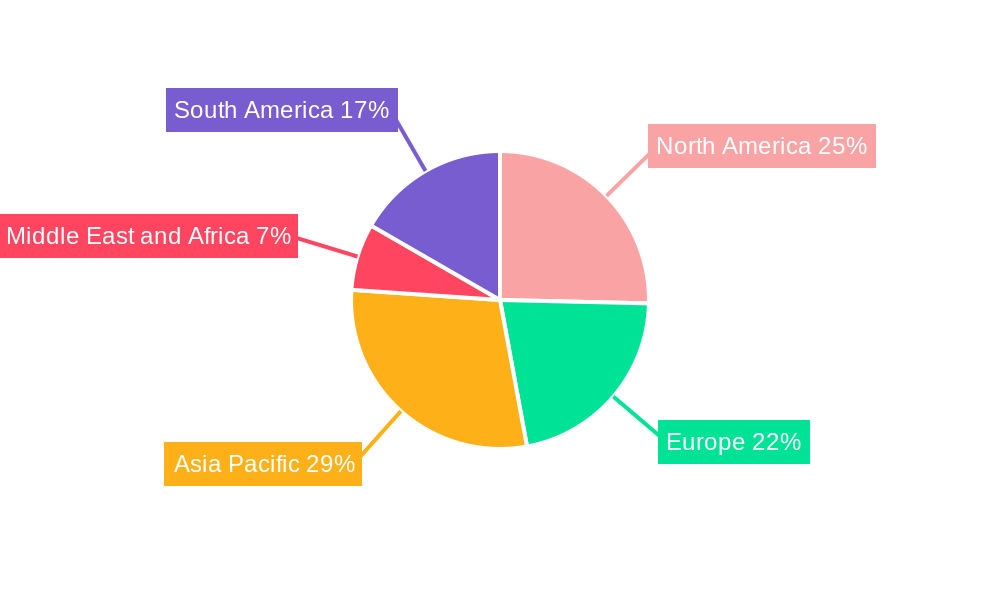 Anesthetic Gas Masks Market Regional Share