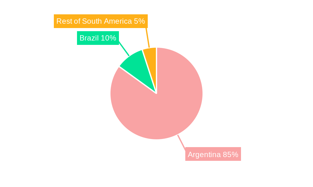 Argentina Oil and Gas Upstream Market Regional Share