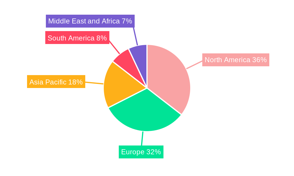 Artificial Turf Market Regional Share