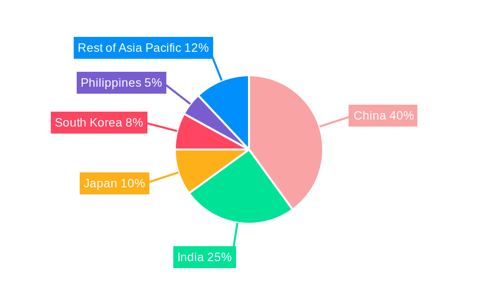 Asia Pacific Infrastructure Construction Market Regional Share