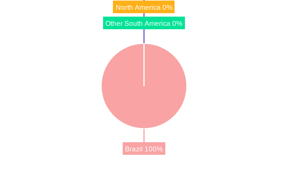 Brazil Food Additive Market Regional Share
