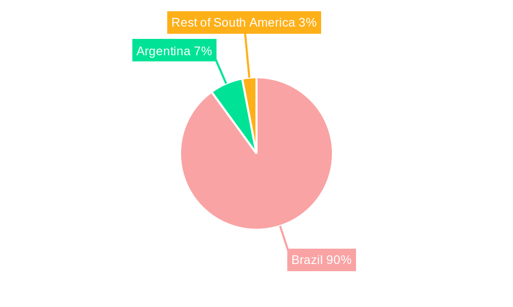 Brazil Jewelry Market Regional Share
