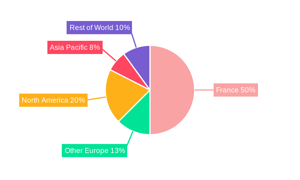 Continuous Glucose Monitor Industry in France Regional Share