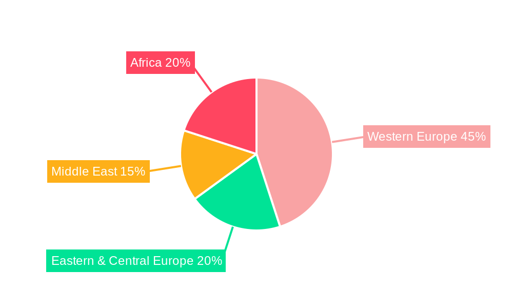 Europe, Middle East and Africa (EMEA) Flexible Packaging Market Regional Share