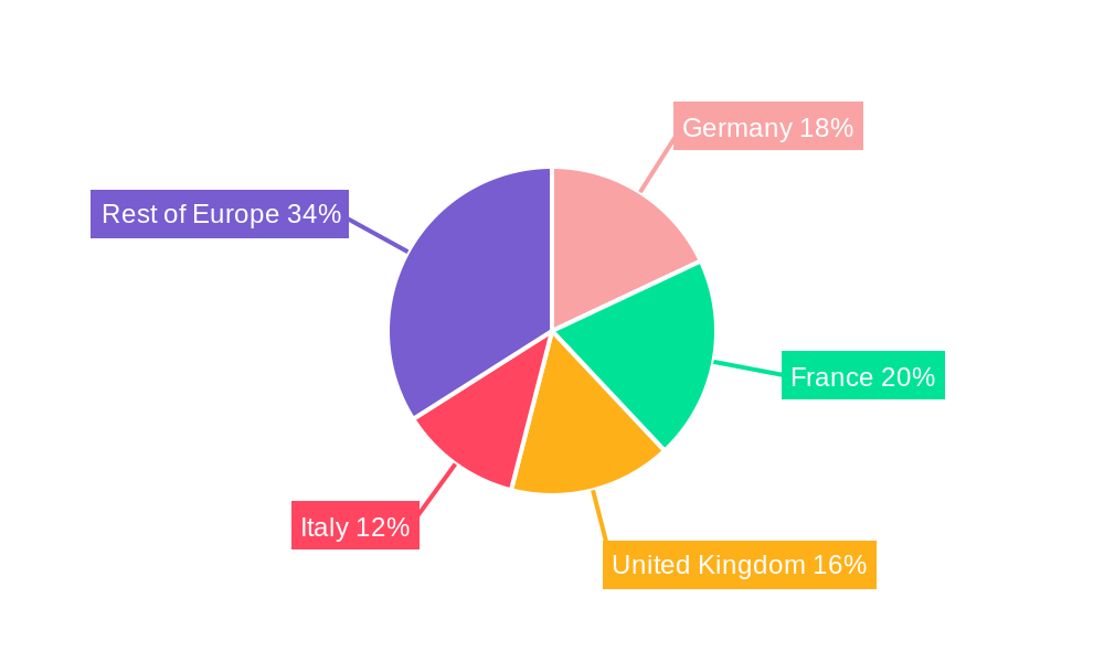 Europe Museums, Historical Sites, Zoos, And Parks Regional Share