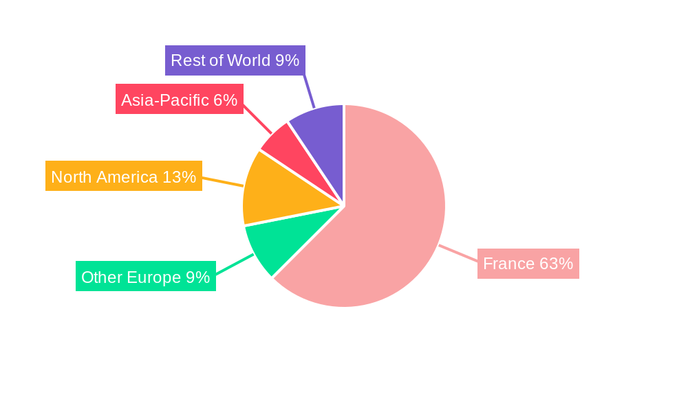 France Active Pharmaceutical Ingredients (API) Market Regional Share