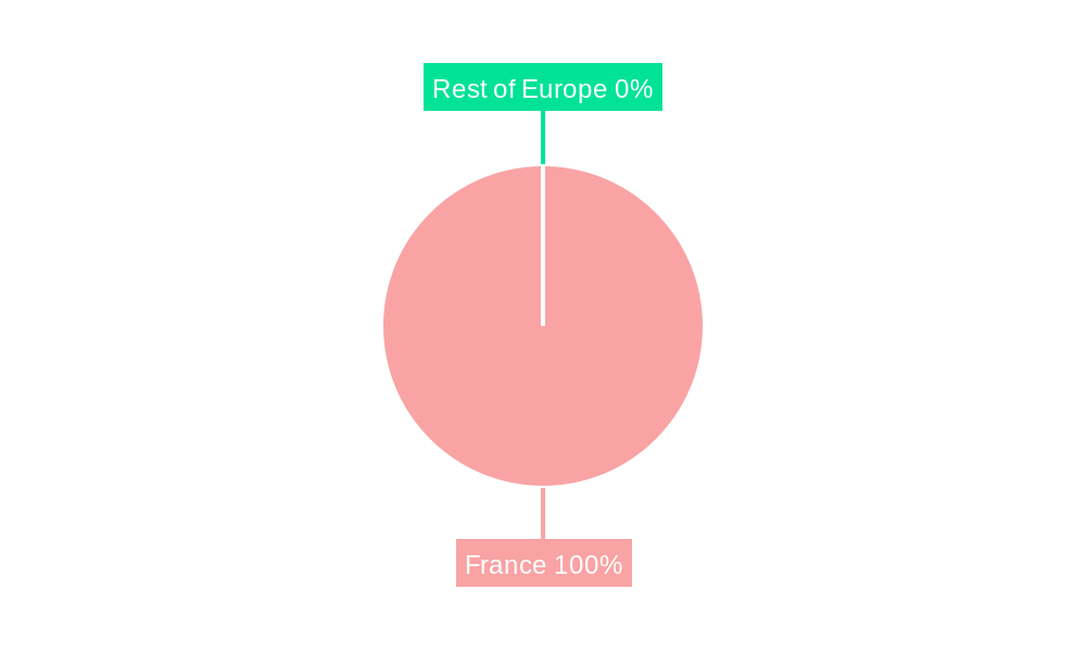 France Pay Later Solutions Industry Regional Share
