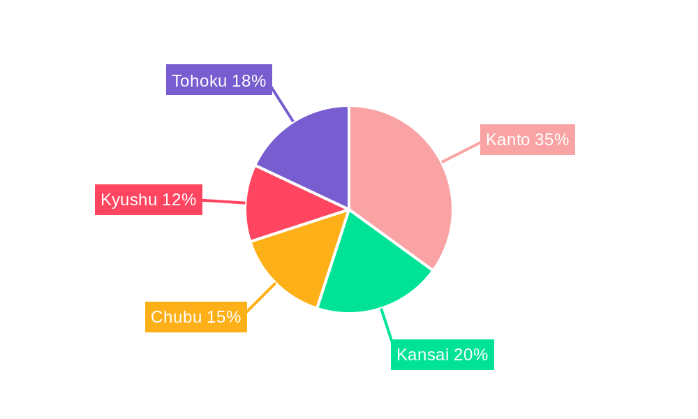 Japan Flash Memory Market Regional Share