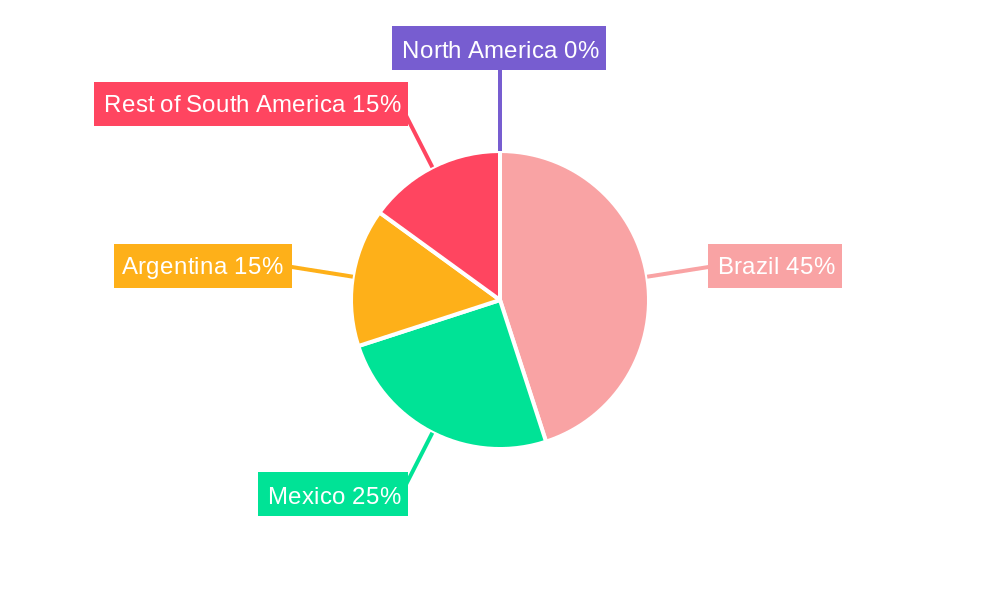 Latin America Jewelry Industry Regional Share
