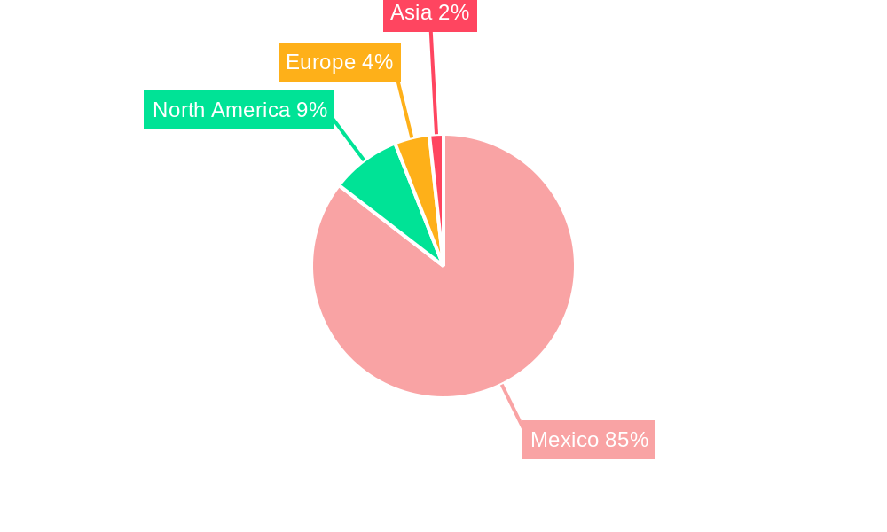 Mexico Automotive EPS Industry Regional Share