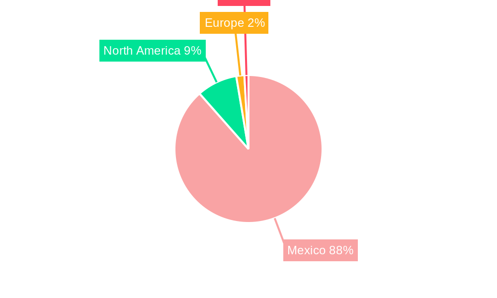 Mexico Electric Car Market Regional Share