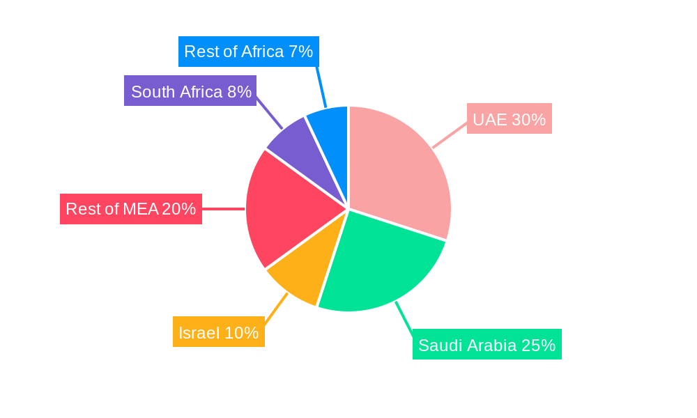 Middle East & Africa Location Analytics Industry Regional Share