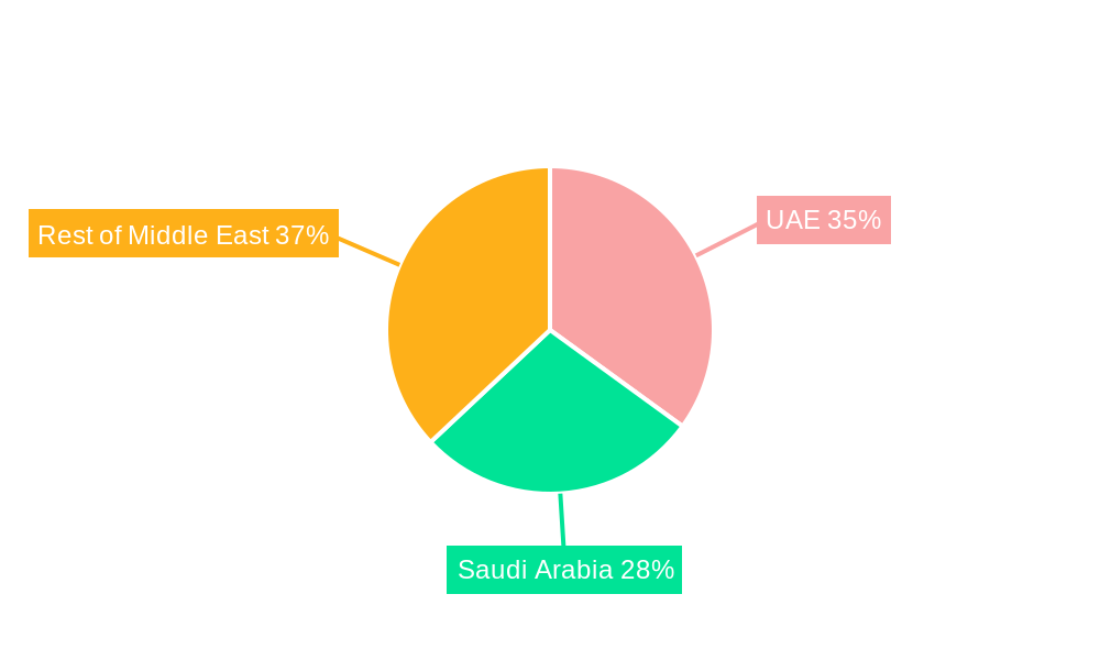Middle East Geospatial Analytics Market Regional Share