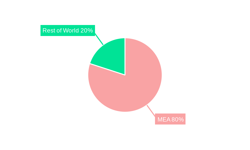 Middle East and Africa Adhesives Market Regional Share