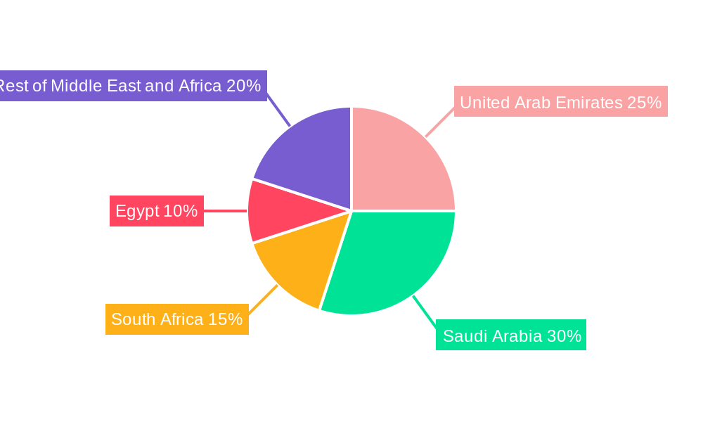Middle East and Africa Coiled Tubing Market Regional Share