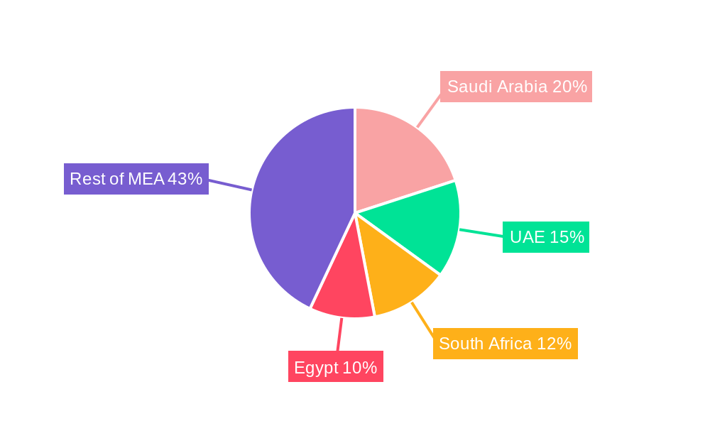 Middle East and Africa IT Services Market Regional Share
