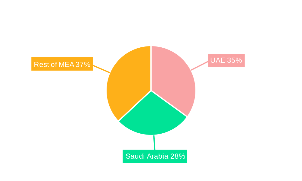 Middle East and Africa Protective Packaging Market Regional Share