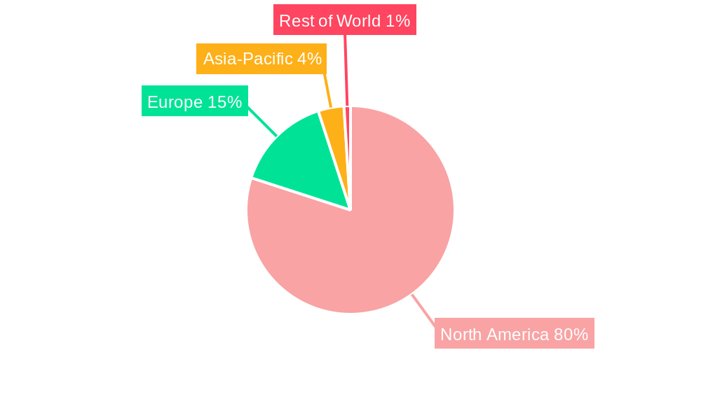 North America Automotive Airfilters Market Regional Share