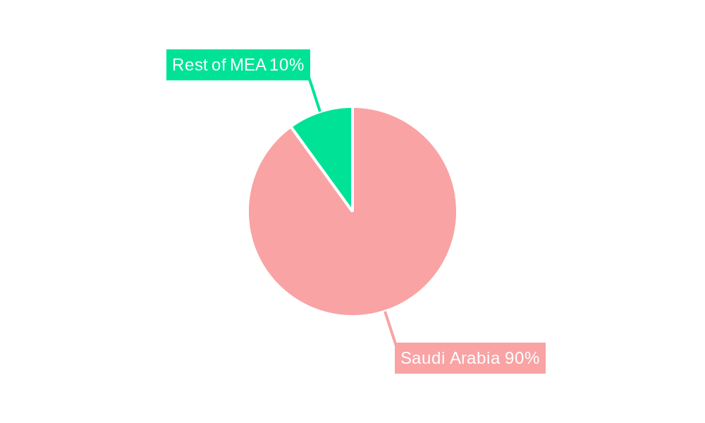 Saudi Arabia Refined Petroleum Products Market Regional Share