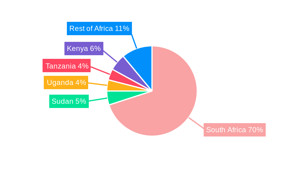 South Africa Packaging Industry Regional Share