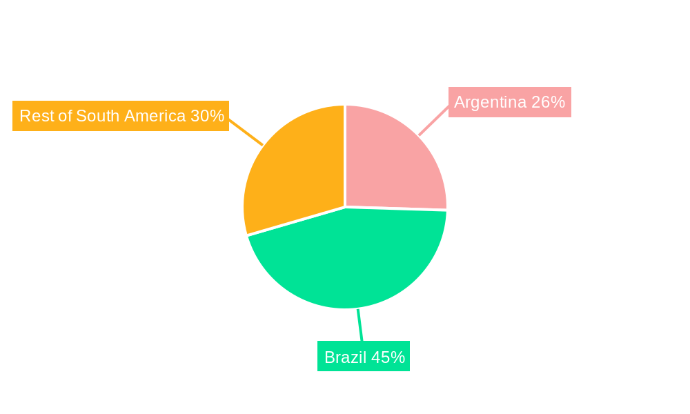 South America Adhesives Market Regional Share